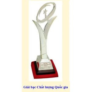 Thành tích công ty đạt được qua các năm từ 2000 - 2009